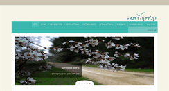 Desktop Screenshot of clinicarmel.com